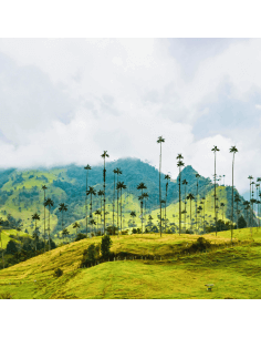 copy of copy of copy of copy of copy of copy of copy of copy of copy of Diseño y Desarrollo Prestashop®