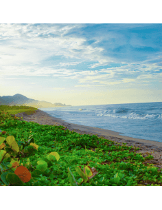 Diseño y Desarrollo Ecommerce Prestashop en Santa Marta