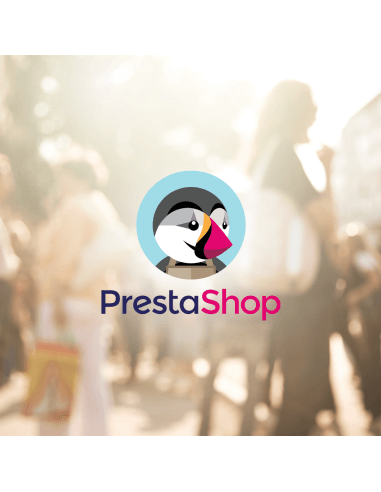 Diseño y Desarrollo de Ecommerce Prestashop